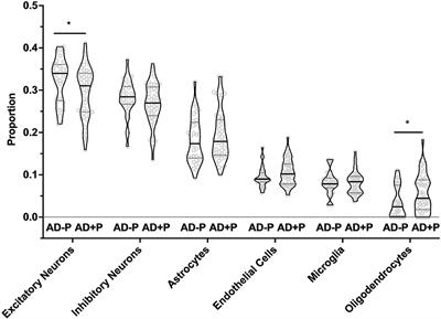 Psychosis in Alzheimer's Disease Is Associated With Increased Excitatory Neuron Vulnerability and Post-transcriptional Mechanisms Altering Synaptic Protein Levels